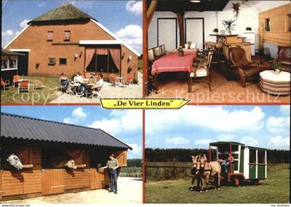 Rolde De Vier Linden Kampeerhoeve