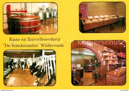 Wildervank Kaas en Zivelboerderij De Veenkolonien
