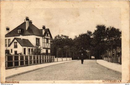 CPA APPINGEDAM Stationsweg NETHERLANDS (706118)