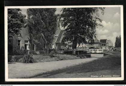 AK Boskoop, Biezen