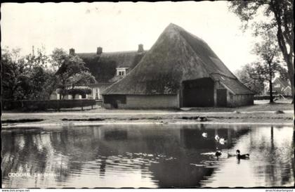 CPA Borger Odoorn Drenthe Niederlande, Eendenkuil