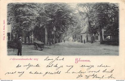 Nederland - HILVERSUM - 's-Gravenlandsche weg