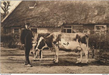 Laren (NH - Gooi) Naar de markt geweest (Koe) 19??