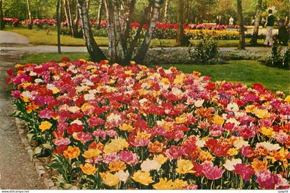 CPM Keukenhof Lisse Holland