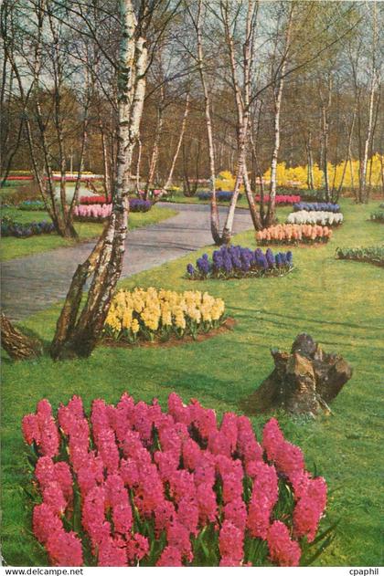 CPM Keukenhof Lisse Holland