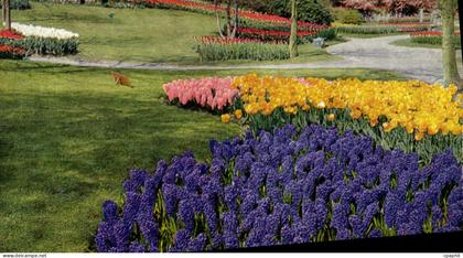 CPM Keukenhof Lisse Holland