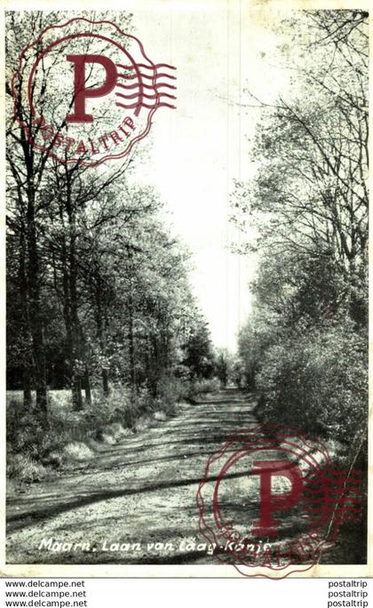 MAARN LAAN VAN LAAG - KANJE