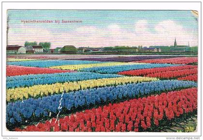 "Hyacinthenvelden bij Sassenheim" Kleuren