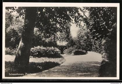 AK Schoonhoven, Plantsoen