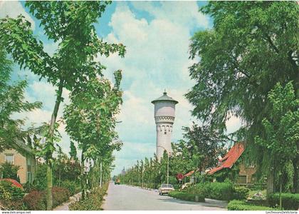 [-30%] PAYS BAS - Waalwijk - Kloosterstraat - Colorisé - Carte postale