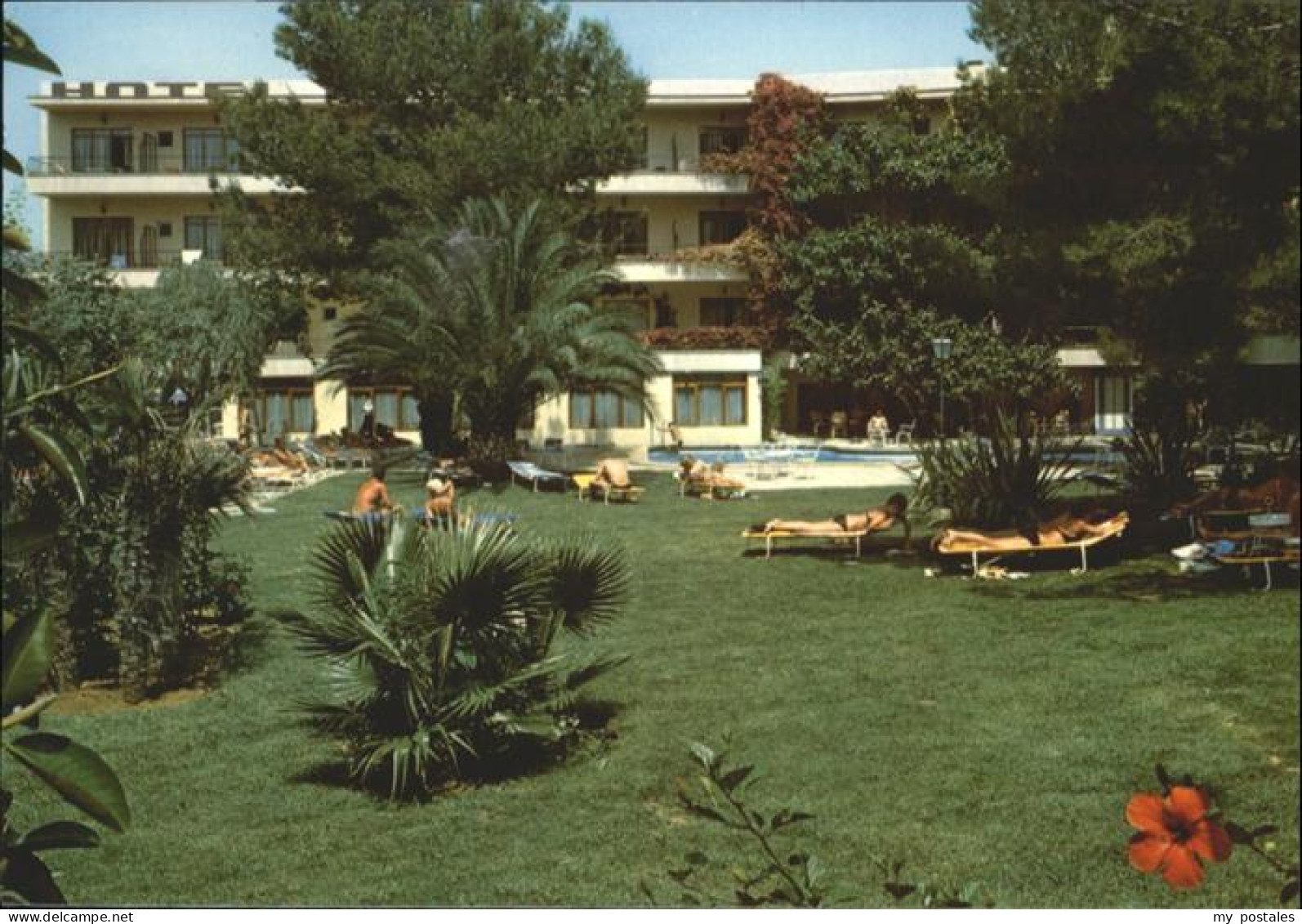 Paguera Mallorca Islas Baleares Hotel Nilo