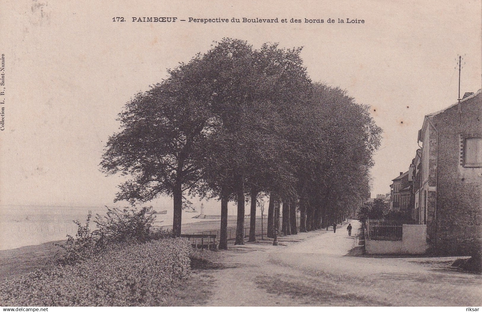 PAIMBOEUF(ARBRE)