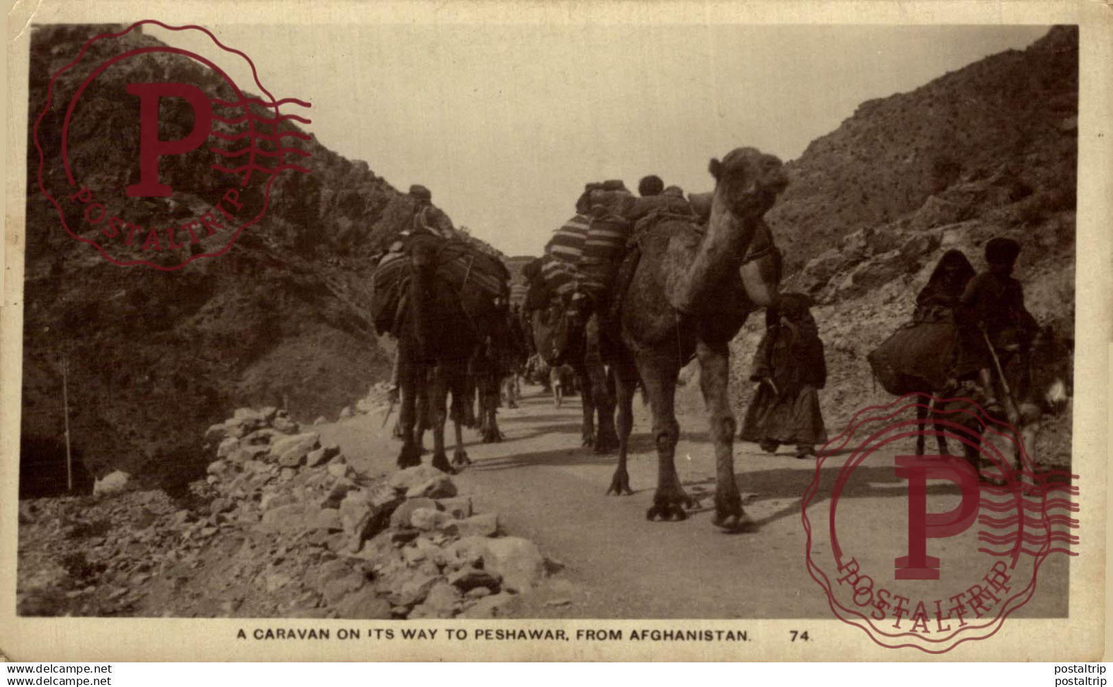PAKISTAN. A CARAVAN ON ITS WAY TO PESHAWAR FROM AFGANISTAN
