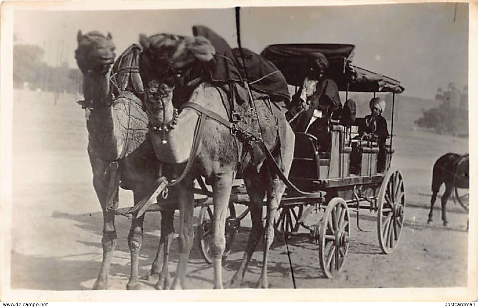 Pakistan - Camel carriage - REAL PHOTO - Publ. unknown