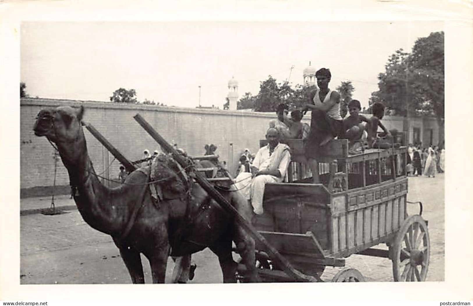 Pakistan - Camel cart - REAL PHOTO