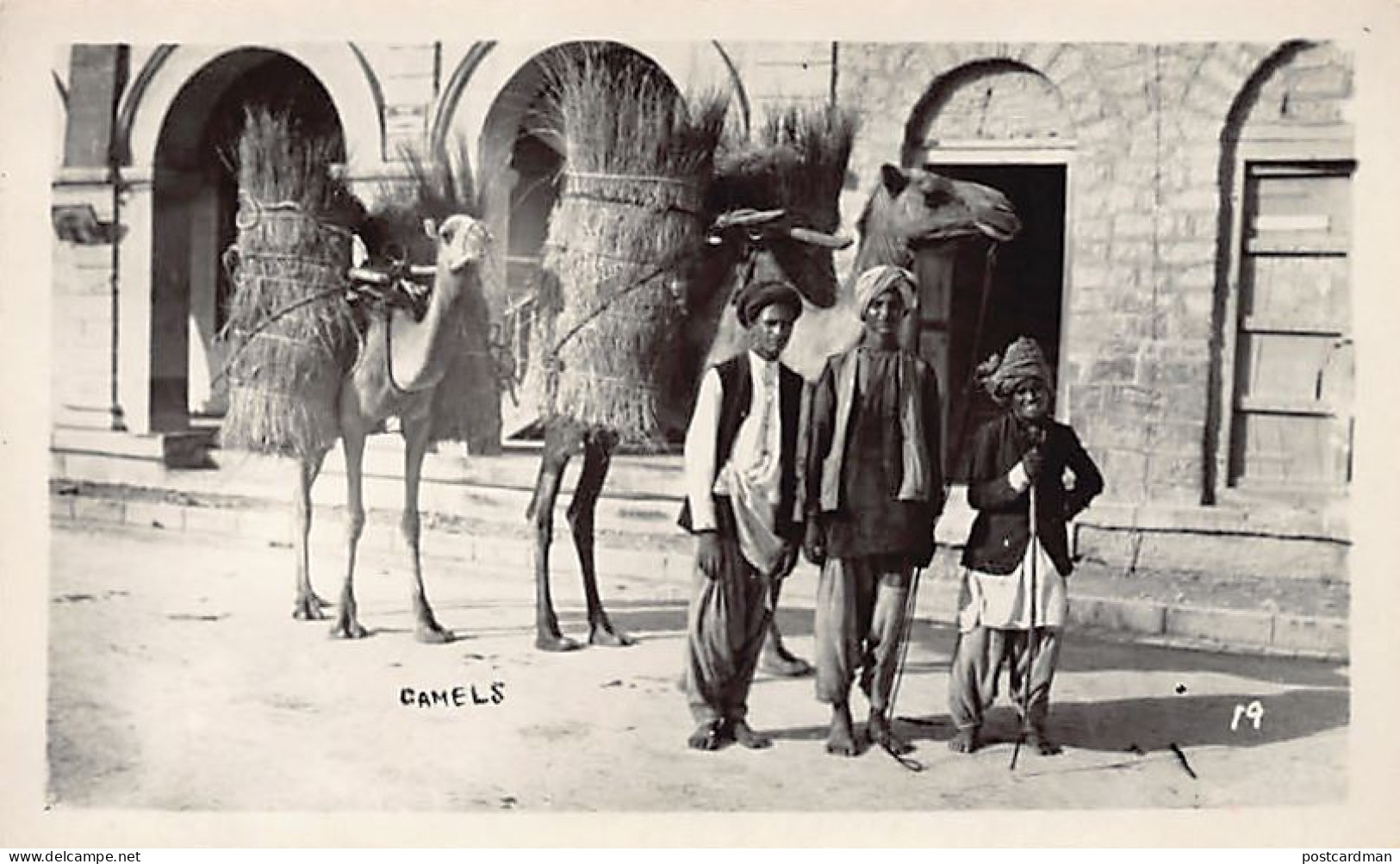 Pakistan - Camels - REAL PHOTO - Publ. unknown