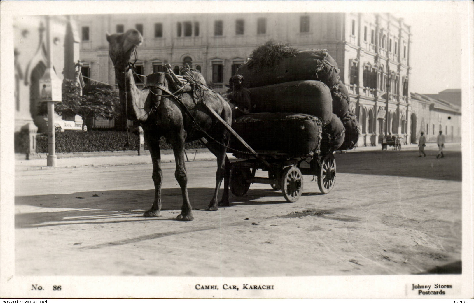 Pakistan - Karachi - Camel Car - Chameau CPA