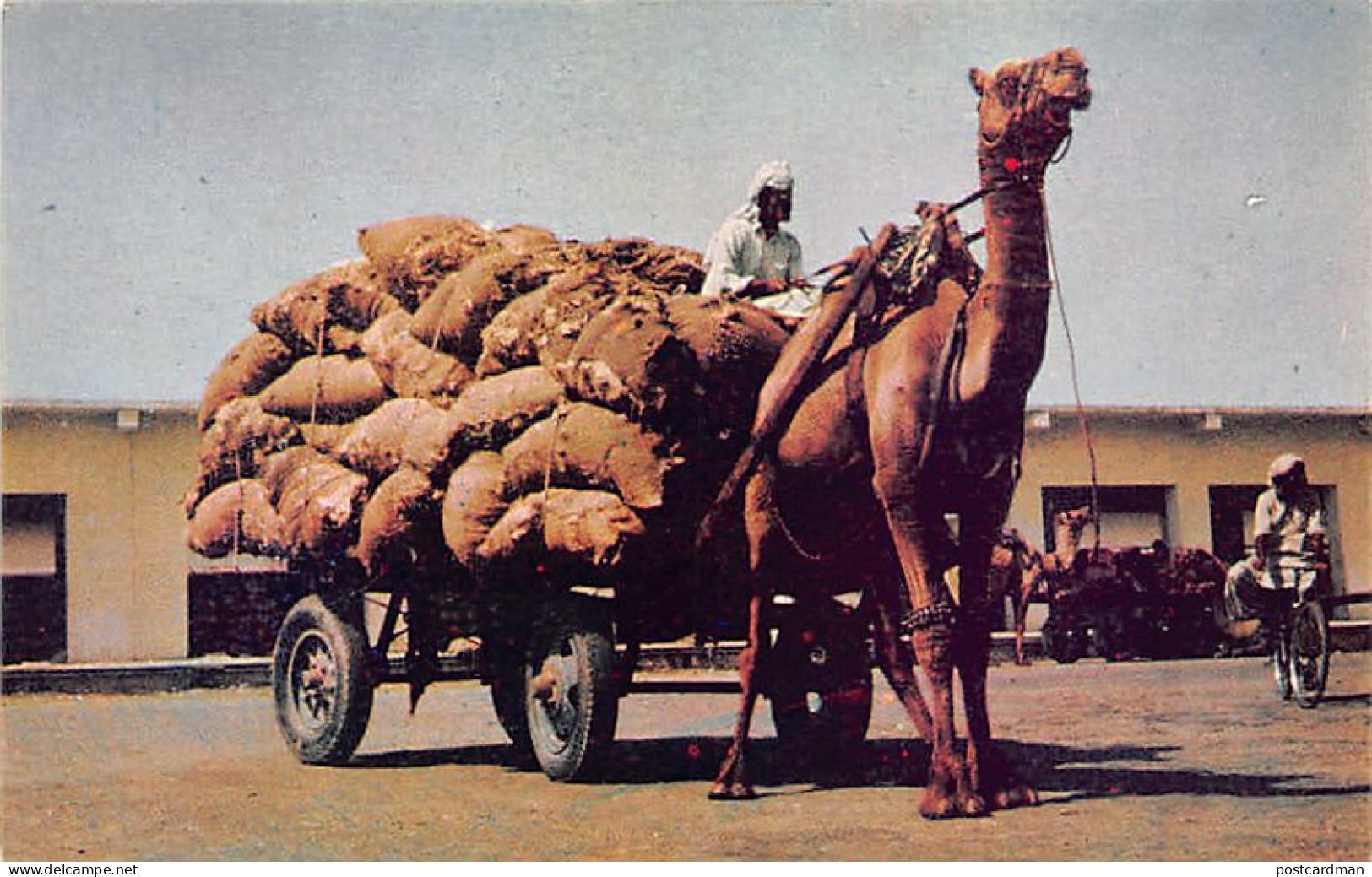 Pakistan - KARACHI - Camel cart - Publ. Pakistan American Commercial Inc.