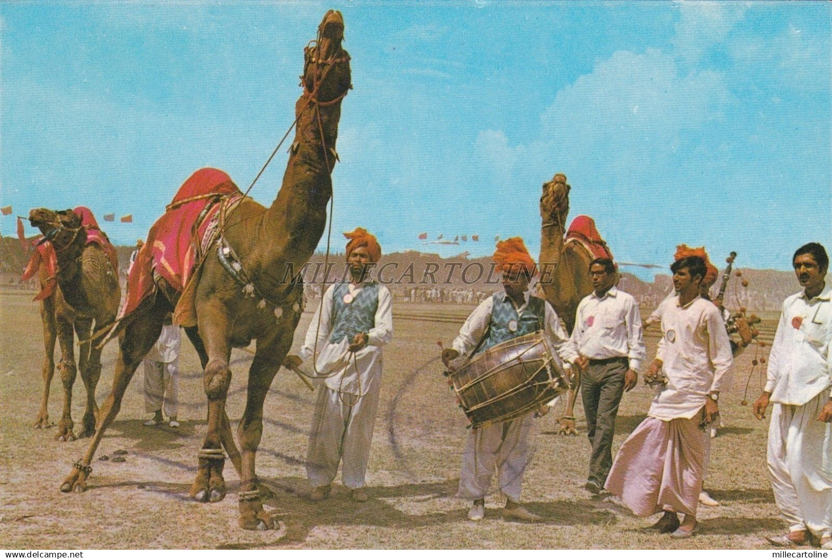 PAKISTAN - Lahore - Dancing Camel