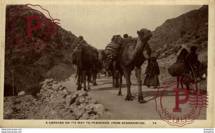 PAKISTAN. A CARAVAN ON ITS WAY TO PESHAWAR FROM AFGANISTAN