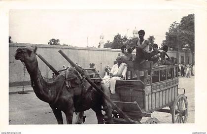 Pakistan - Camel cart - REAL PHOTO