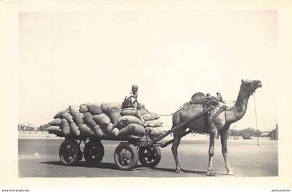Pakistan - Camel cart - REAL PHOTO - Publ. unknown