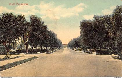 Pakistan Mall Peshawar Trees vintage postcard