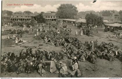 Pakistan Peshawar Camel Market ed Moorli Dhur