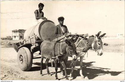 PC PAKISTAN DONKEY CART (a71815)