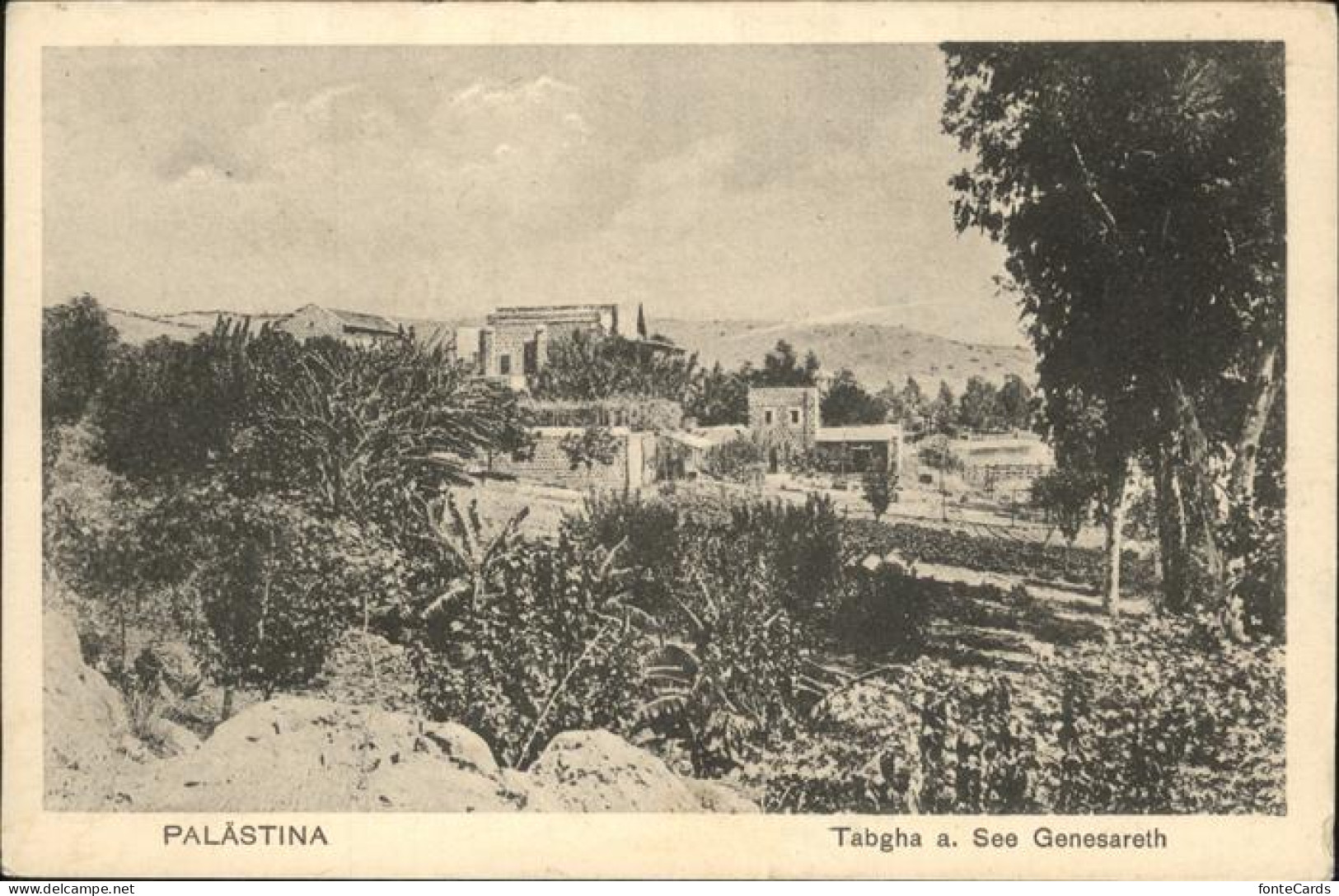 Palaestina Tabgha See genesareth