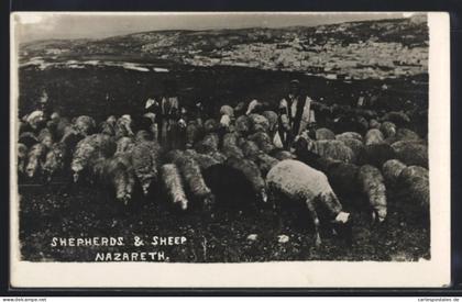 AK Nazareth, Shephers & Sheep