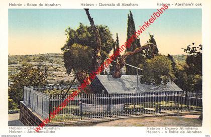 Hebron الخليل - Abraham's oak -  Palestina