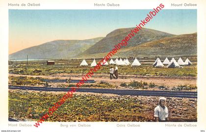 Mount Gelboe - Palestina