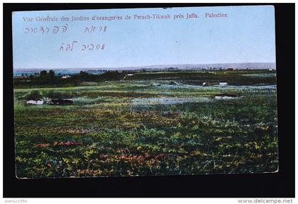 PALESTINE JAFFA ORANGERIE