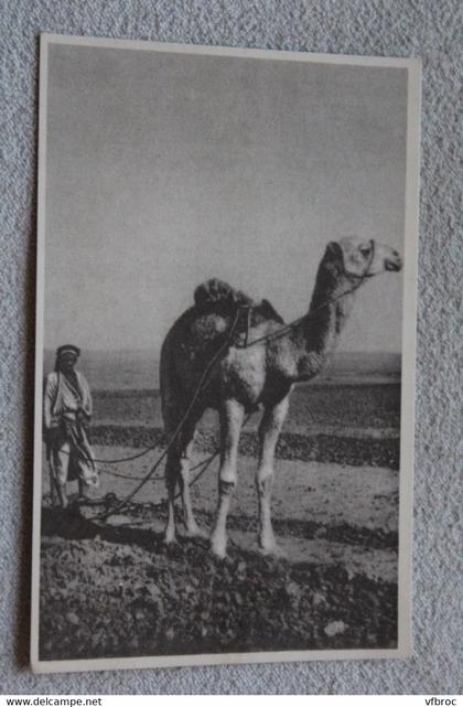 Retour à la terre en Palestine