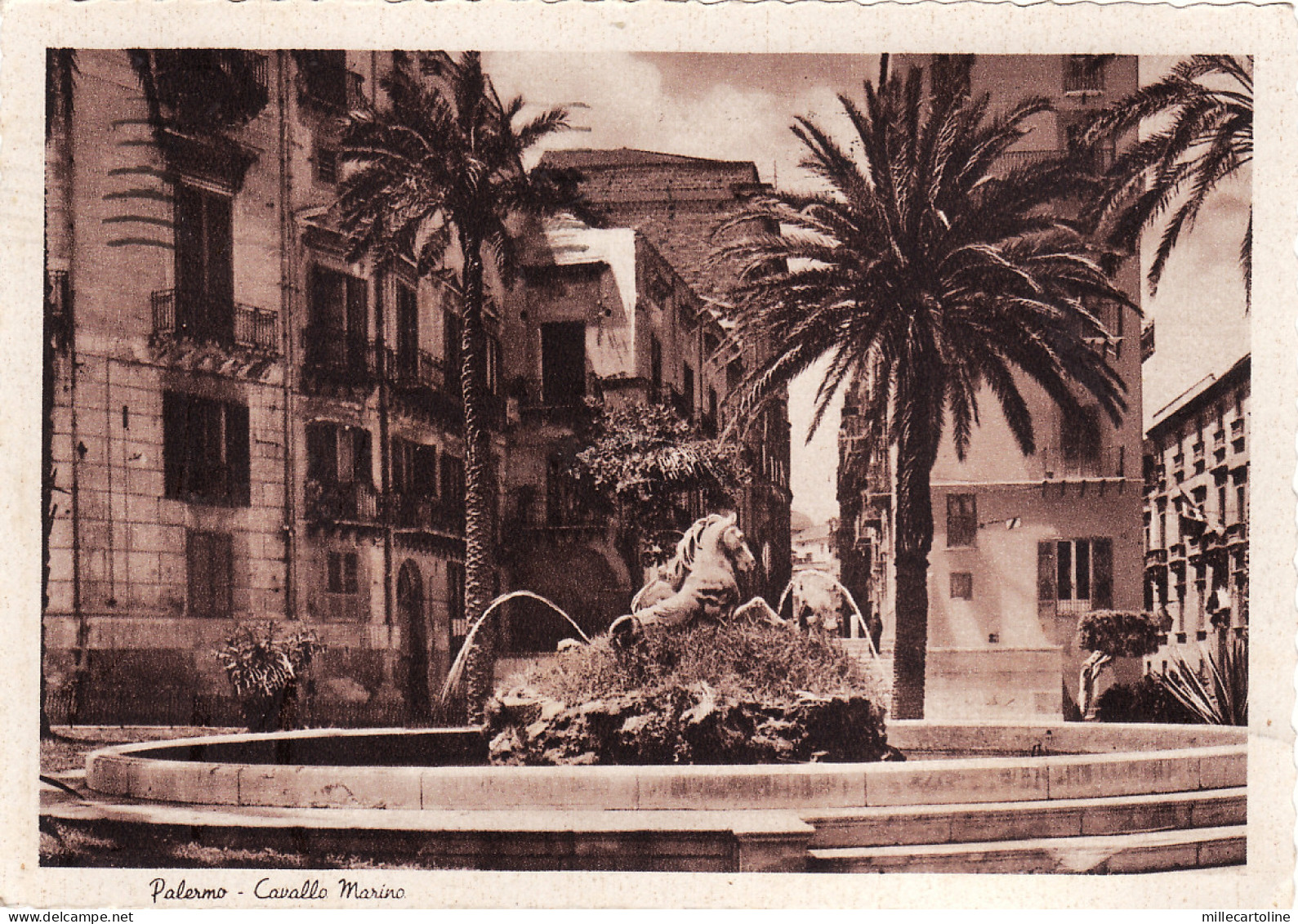 #PALERMO: CAVALLO MARINO