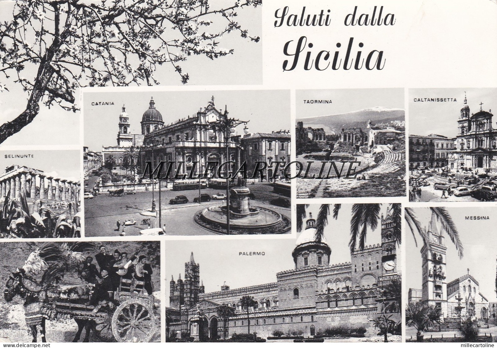PALERMO:  Saluti dalla Sicilia - varie citta'  (4)   1960