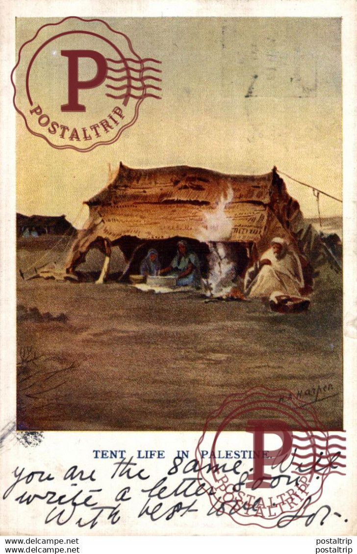 PALESTINA. PALESTINE. TENT LIFE IN PALESTINE.