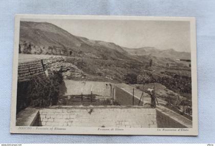 Jericho, la fontaine d'Elisée, Palestine