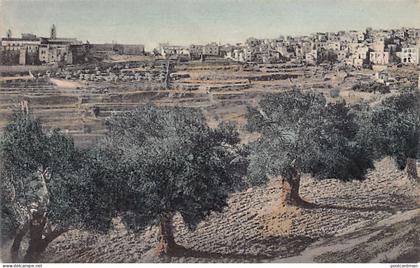 Palestine - BETHLEHEM - General view - Publ. Wanderer Serie Palestina 11