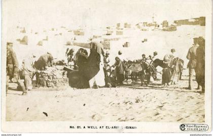 Palestine Well at El Arish Sinai photocard