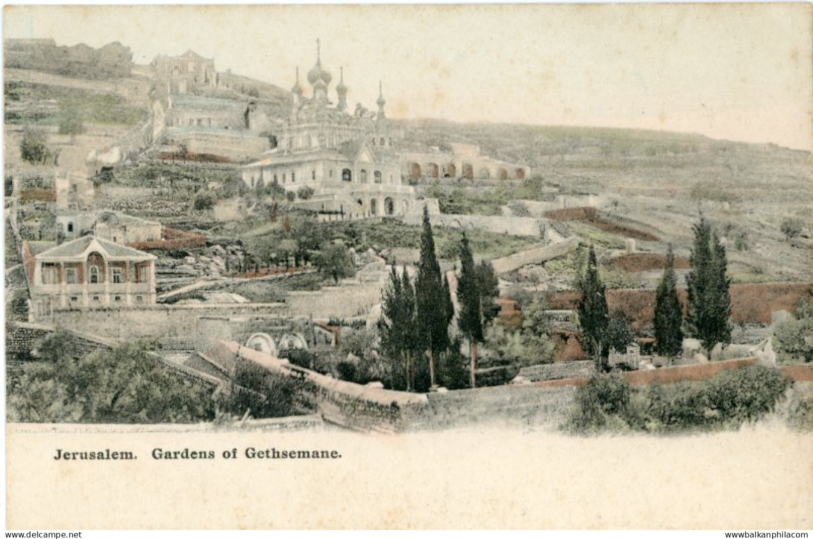 Palestine Jerusalem Garden of Gethsemane