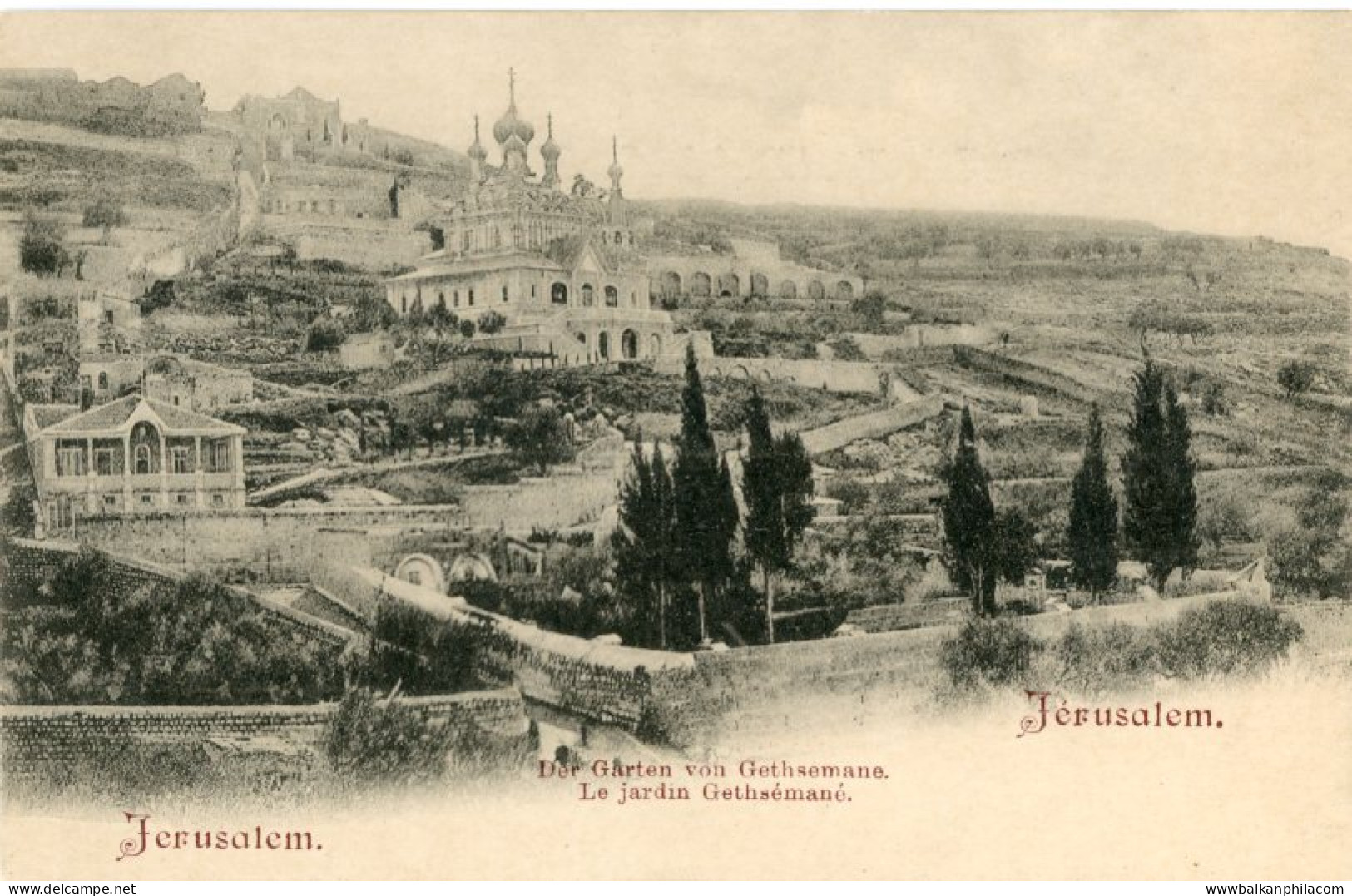 Palestine Jerusalem Garden of Gethsemane