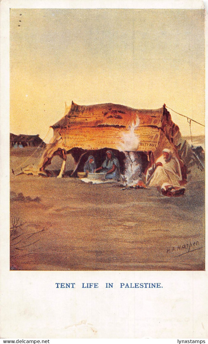 Palestine Tent Life in Palestine Ethnic Natives Making Food vintage postcard