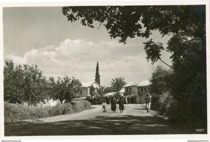 Palestine Jericho photocard