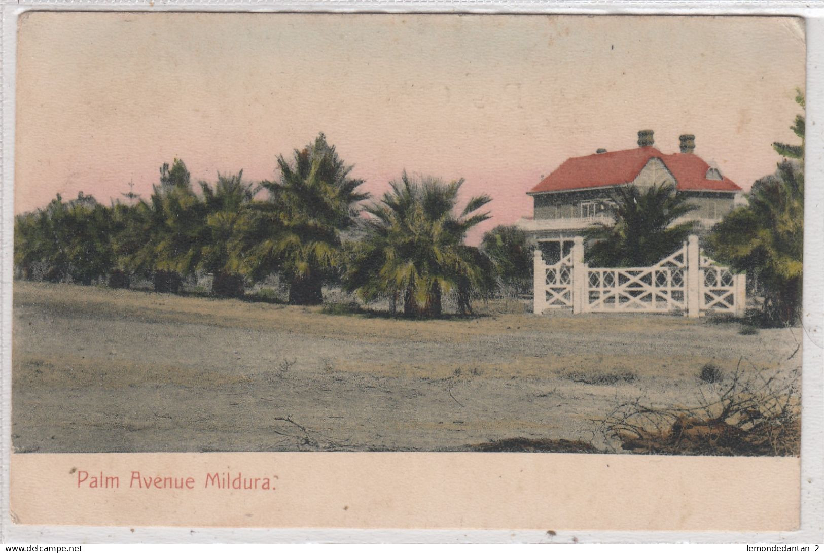 Palm Avenue Mildura. *