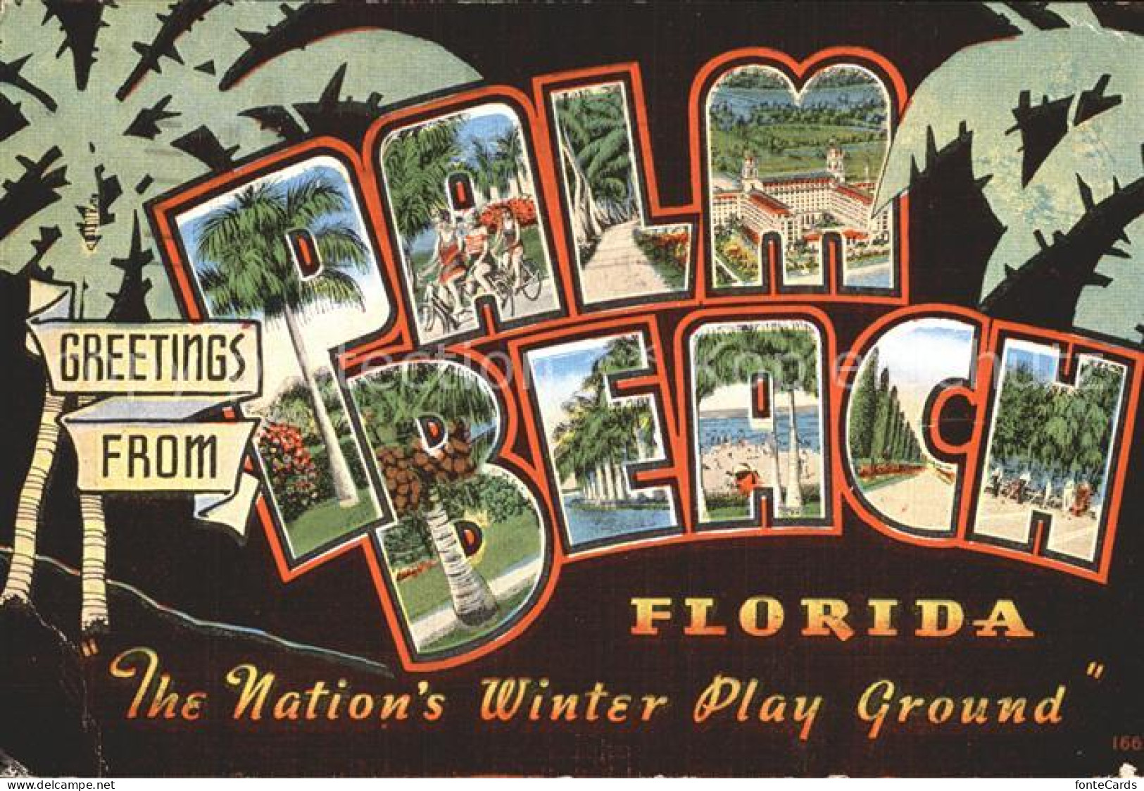 Palm Beach Palm Trees South Trial Hotel Coconuts