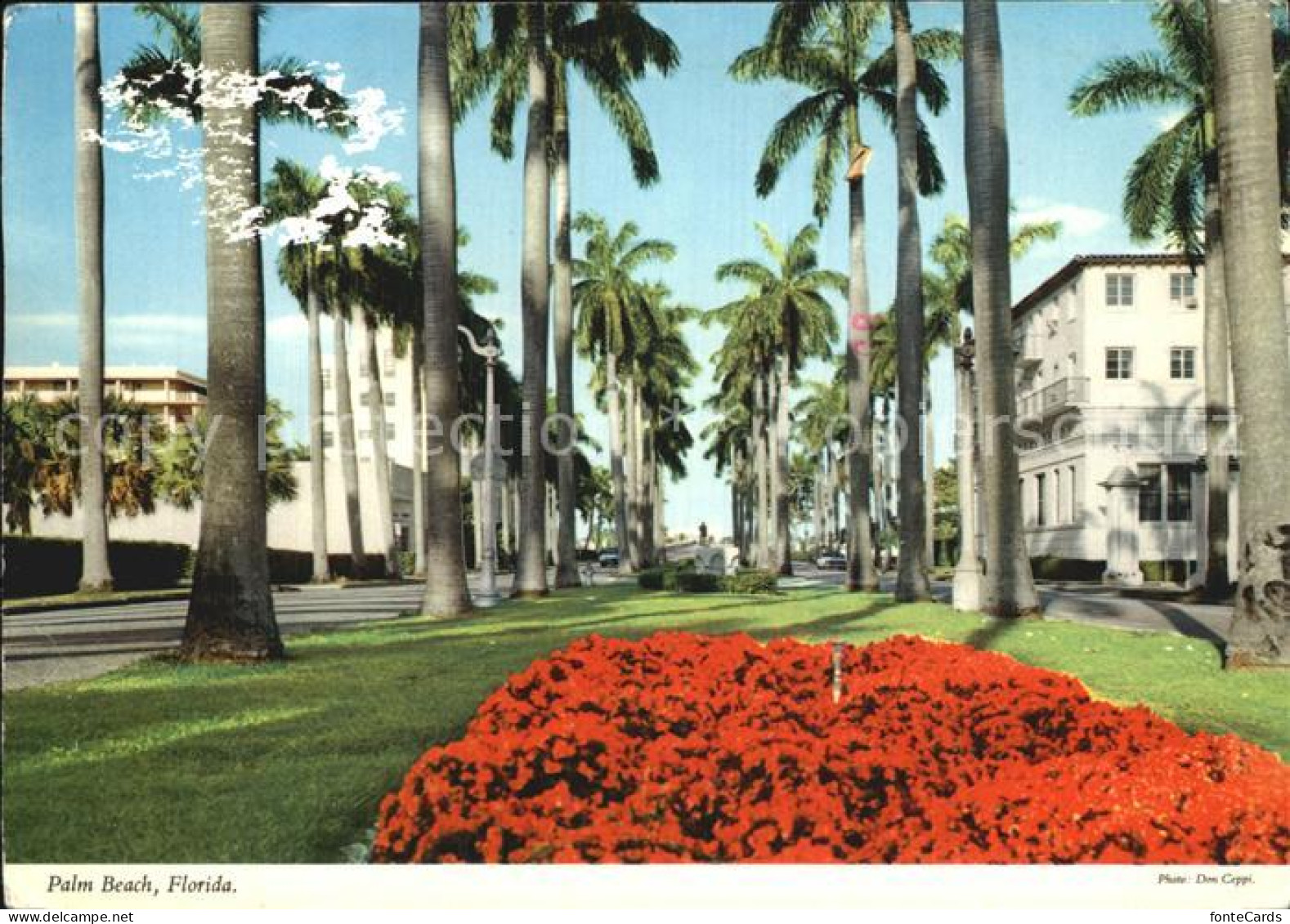 Palm Beach Royal Palm Way