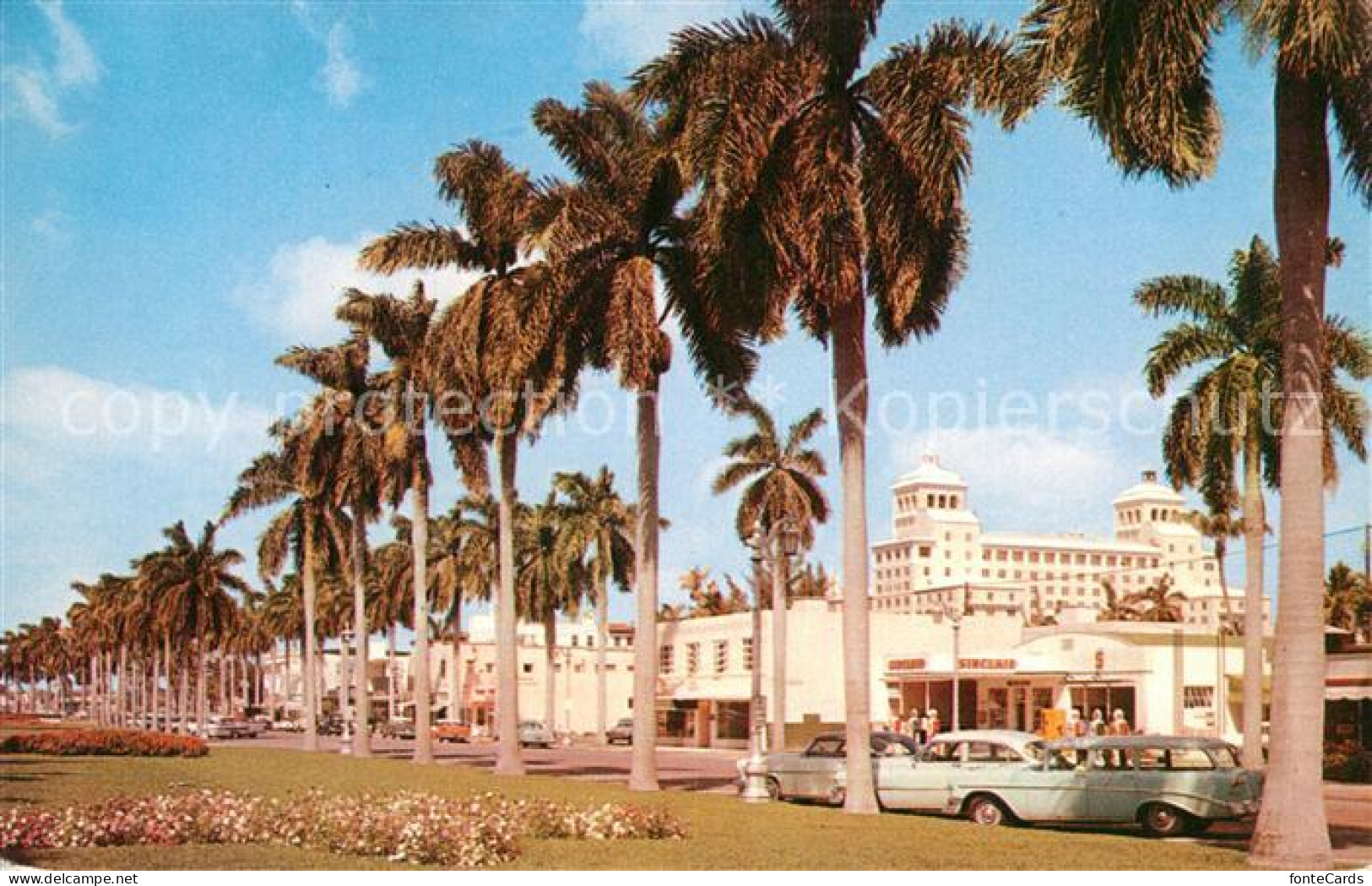 Palm Beach Stately Royal Palms on Royal Poinciana Way Palm Beach Biltmore
