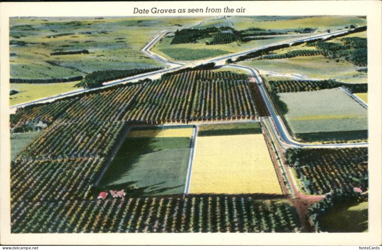 Palm Springs Date Groves Coachilla Valley